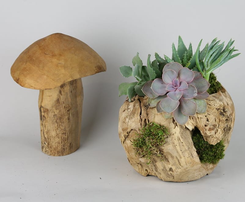 Succulent arrangement in a hollow wood planter beside a wooden mushroom sculpture