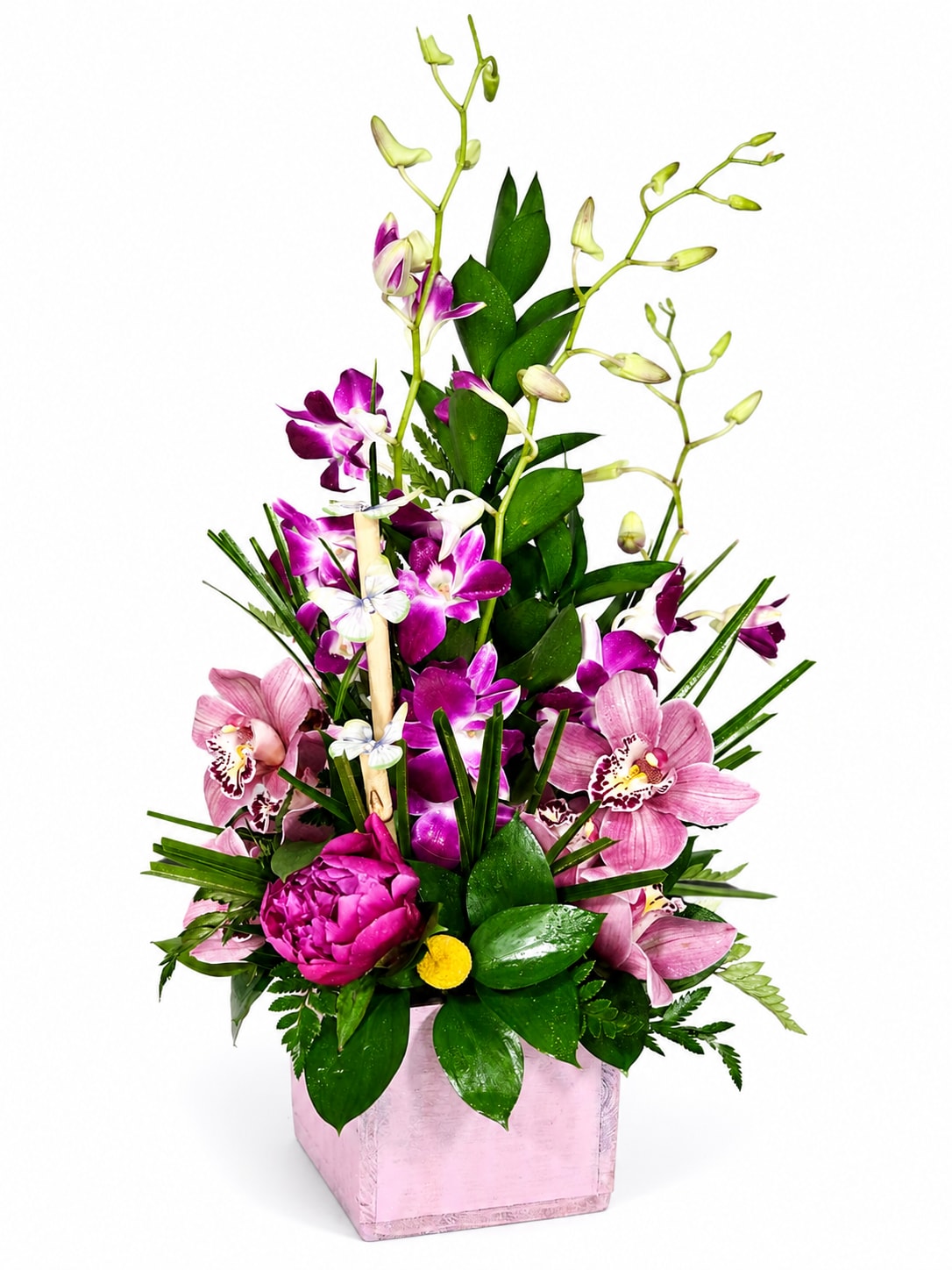 Orchid Blush Garden - Delicate and elegant, the Orchid Blush Garden features a stunning blend of vibrant purple dendrobium orchids, soft pink cymbidium orchids, and lush seasonal greenery beautifully arranged in a charming blush pink wooden container. Accented with a rich magenta peony and modern tropical foliage, this artistic arrangement brings sophistication, beauty, and graceful height to any celebration, thank-you gift, birthday, or special occasion. A perfect statement piece designed to impress with its fresh garden-inspired style.