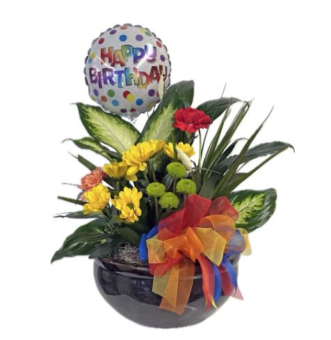 Bright &amp; Cheerful Birthday Garden - Celebrate their special day by sending this dish garden of living plants filled with colorful flowers, a Happy Birthday air-filled balloon pik, and an amazingly festive bow! A magnificent gift they'll remember for years to come. Please note: Plants and ceramic container may vary.