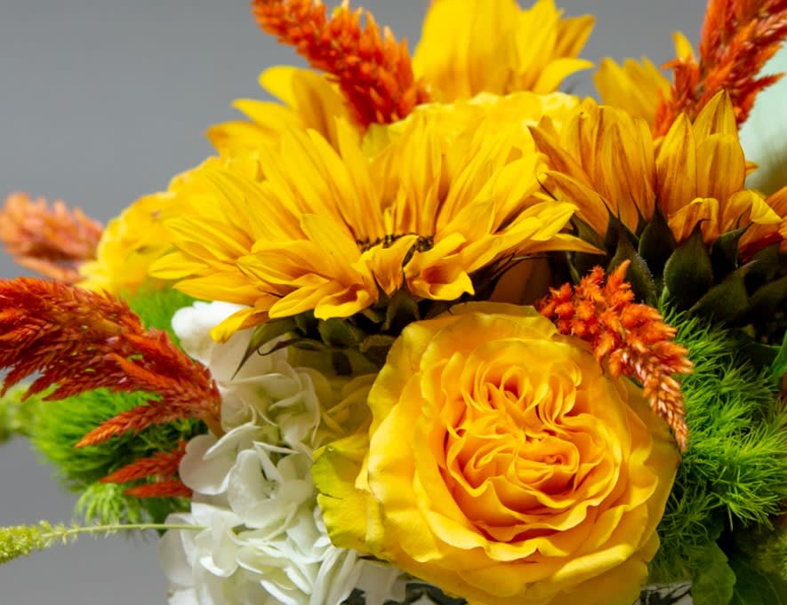 Yellow and orange floral bouquet with a white bloom against a gray background