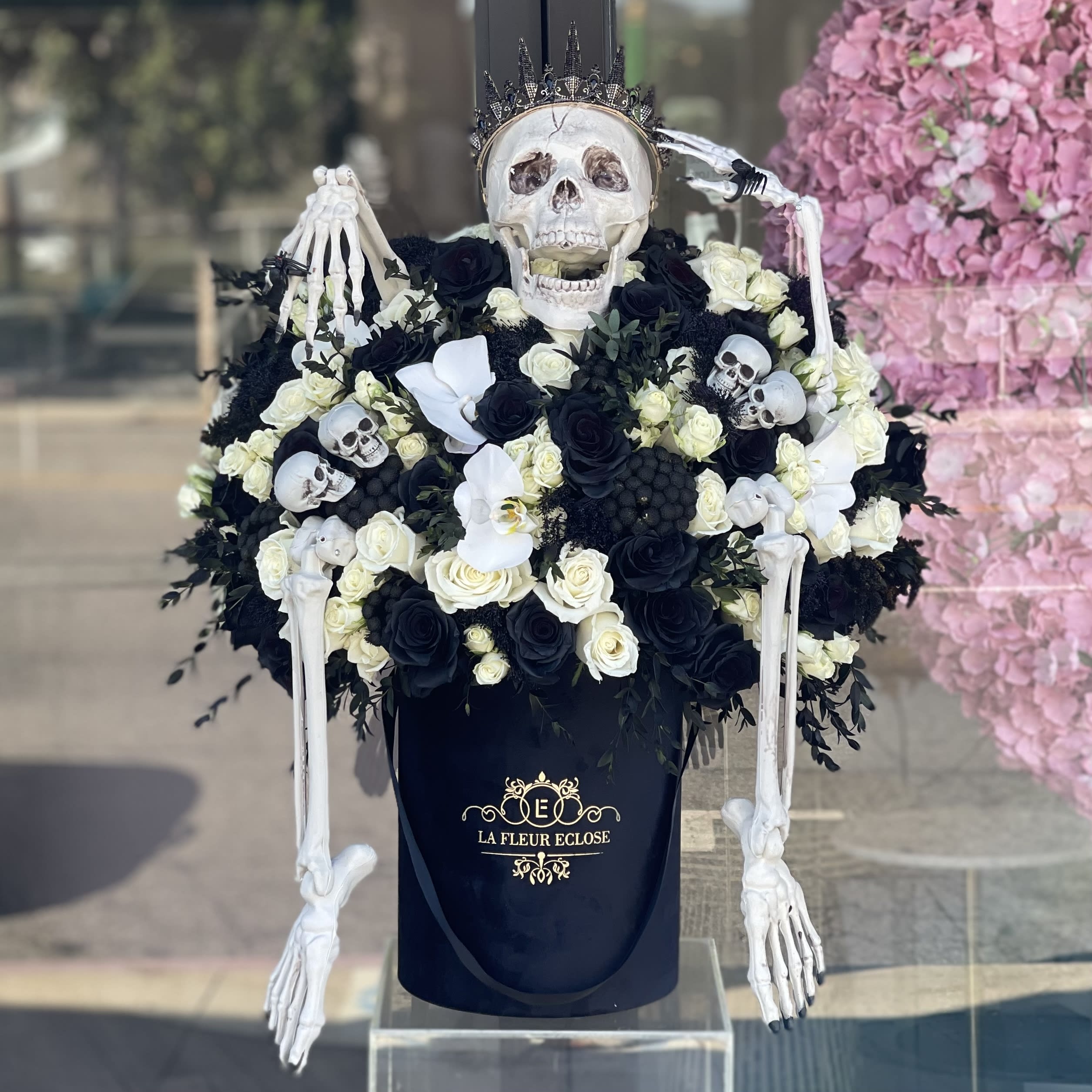 Engaged Queen skeleton  - Beauty’s back and white arrangement in our signature black velvet box, with a happy Skeleton queen who’ve just got engaged and showing us her beautiful spider ring 