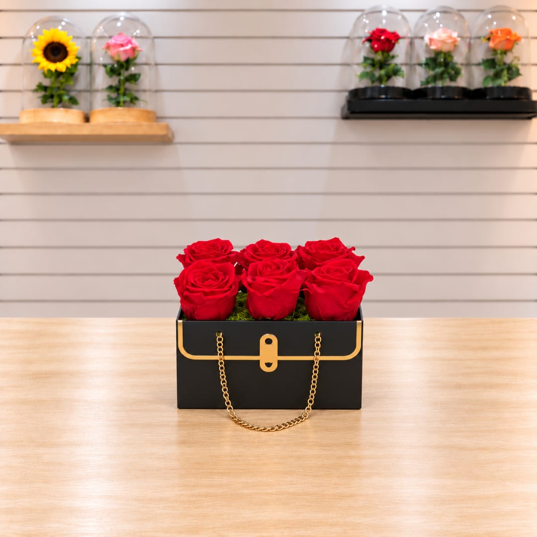 Red roses arranged in a black box with a gold chain handle