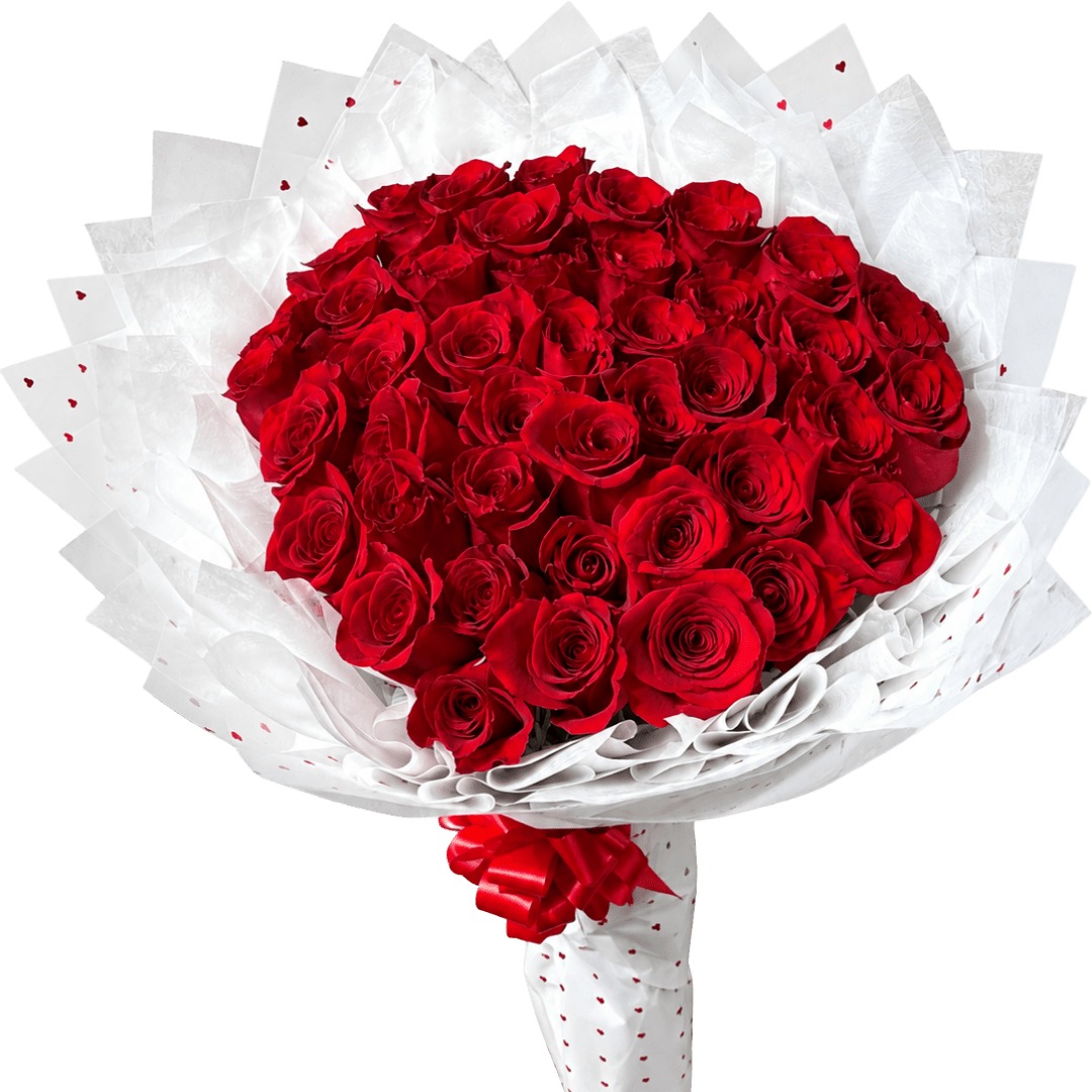 Bouquet of red roses wrapped in white paper with a red ribbon