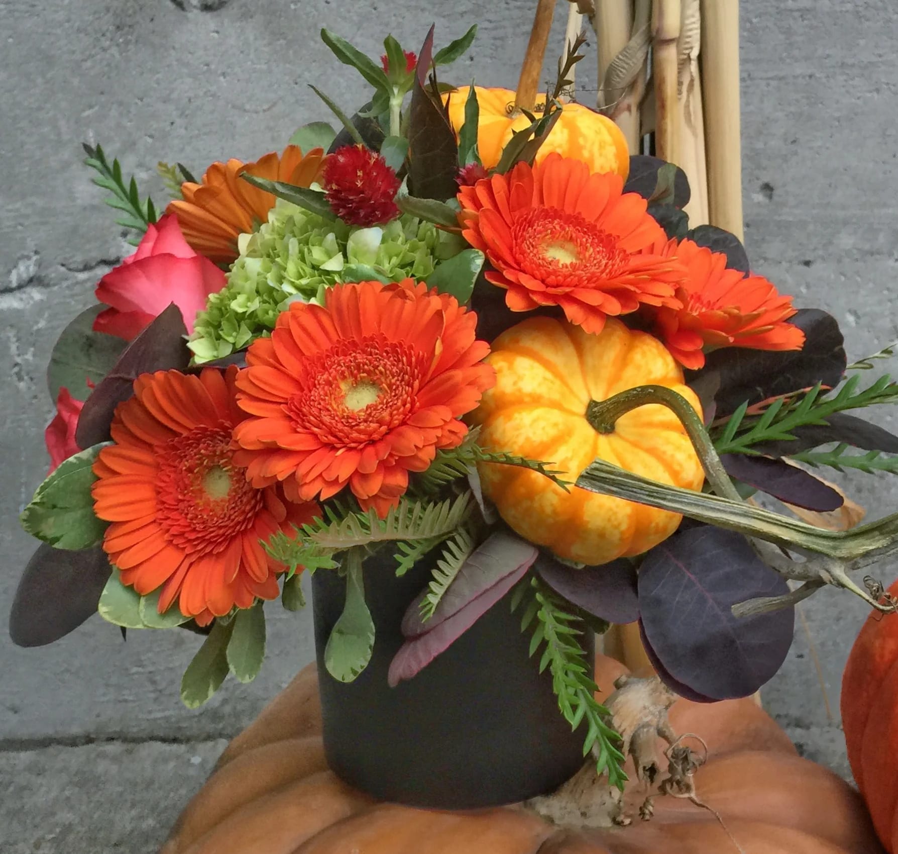 Orange gerbera daisies and pumpkins in a black container