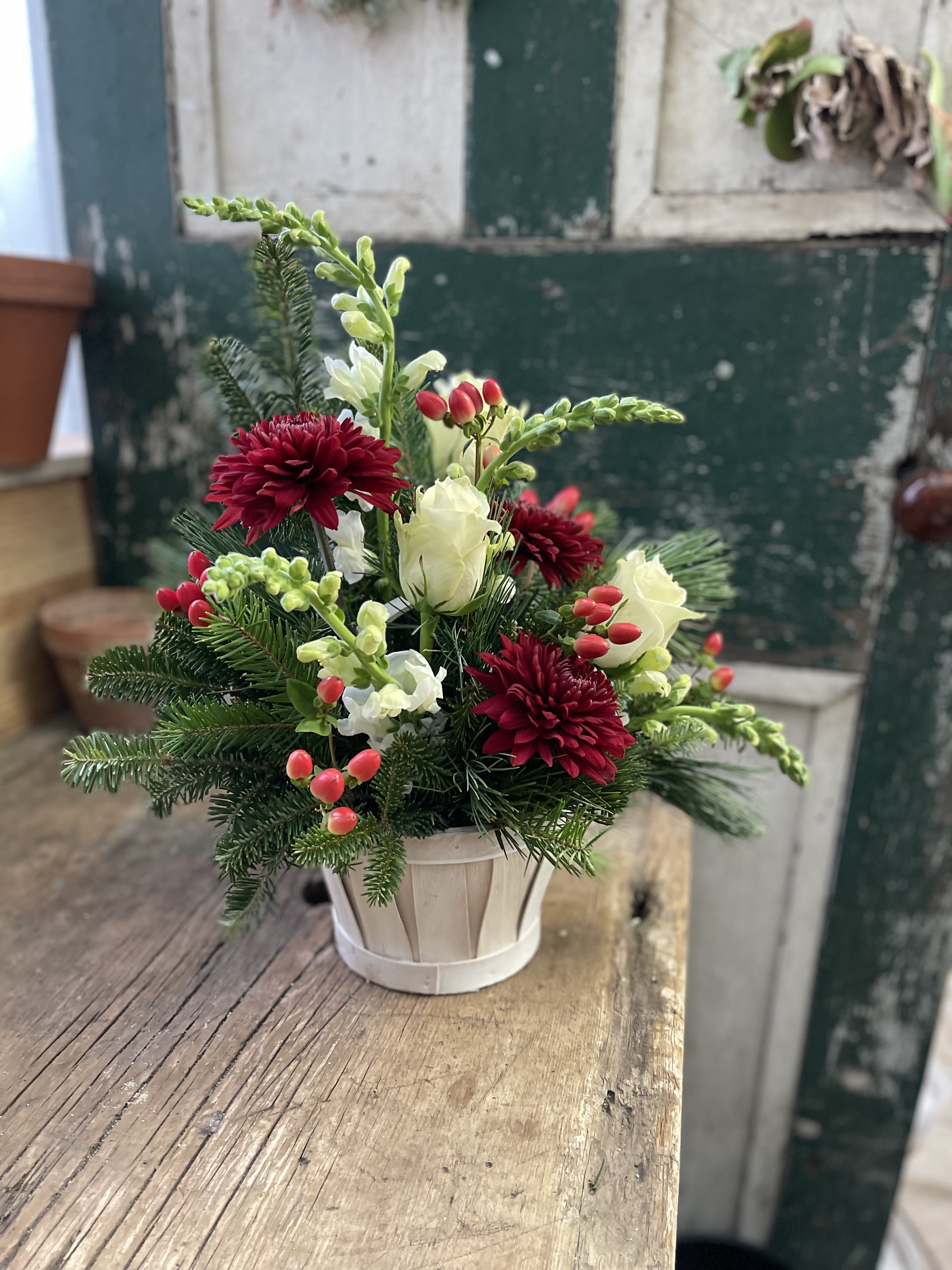 Compact floral arrangement in a white pot with red and white blooms