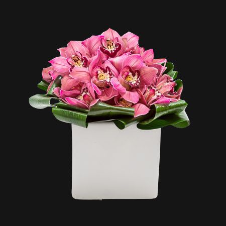 Pink orchids arranged in a white square vase