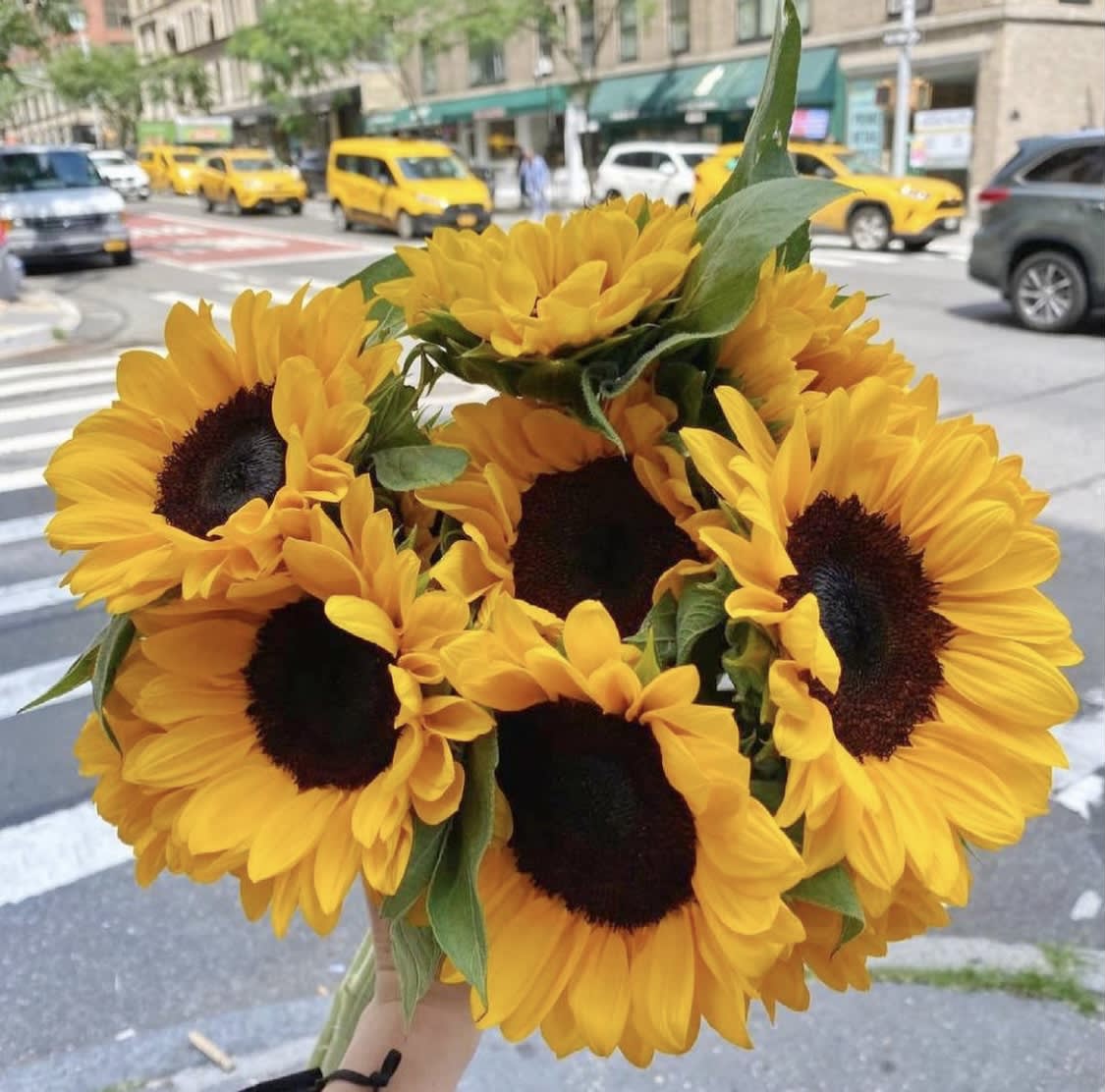 Handheld bouquet of bright yellow sunflowers