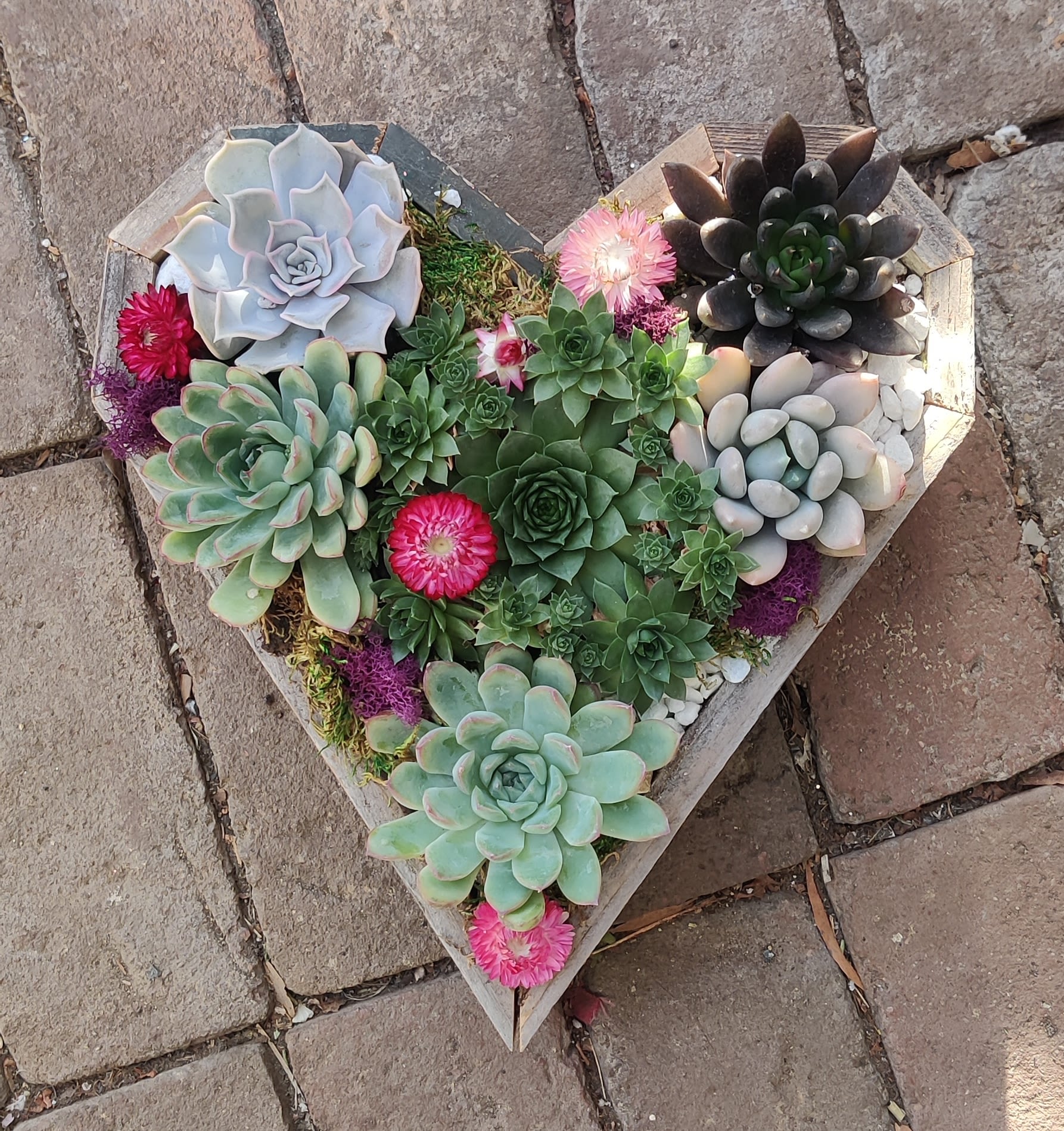 Heart-shaped succulent arrangement with pink accent flowers