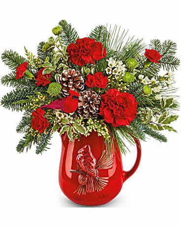  Festive Flight Bouquet -  Festive Flight Bouquet spreads holiday cheer with red blooms, winter greens, and a charming keepsake Scarlet Cardinal Pitcher. A heartwarming gift for  Festive Flight Bouquet features red carnations, red miniature carnations, green button spray chrysanthemums, and white waxflower. Accented with cedar, pitta negra, noble fir, and white pine in Teleflora's Scarlet Cardinal Pitcher Orientation: All-Around