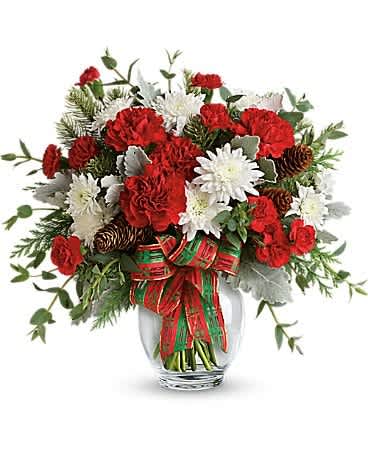 Teleflora's Holiday Shine Bouquet - Make their season bright with this fun bouquet of Christmas blooms, hand-delivered in a glass ginger jar and accented with a shimmering holiday plaid ribbon. This bold bouquet includes red carnations, red miniature carnations, white cushion spray chrysanthemums, flat cedar, noble fir, dusty miller, parvifolia eucalyptus, small pinecones and wired ribbon. Delivered in a glass ginger jar.