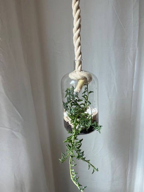 Hanging glass planter with trailing green plant
