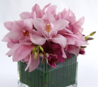 Pretty Pink Centerpiece - A lush cluster of soft pink cymbidium orchids crowns a clear glass cube, making this flower arrangement a refined centerpiece for birthdays, romantic moments, or a spring wedding. The Pretty Pink Centerpiece reads as modern and intimate - the kind of gift that makes her feel truly seen, whether you're saying "I love you," offering a heartfelt apology, or dressing a prom table with quiet elegance.  Deeper magenta dendrobium orchids peek from beneath the pale cymbidium blooms, adding contrast and depth against touches of green and hints of purple and white. Stems are set vertically inside the vase to form a clean, structured collar that keeps the design architectural and low enough for conversation across a table. The clear glass cube vase makes it equally at home on a bedside, desk, or holiday dining table.  Perfect for Holiday gatherings, Spring celebrations, or an intimate anniversary dinner, this arrangement also suits Mother's Day, Valentine's Day, quinceañera or Passover settings without feeling season-bound. Care is simple: keep water fresh and in a bright, cool spot to prolong bloom life. Delivered ready to display in Miami Beach, FL, it's an elegant, low-maintenance way to brighten someone's day.