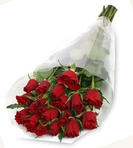 Wrapped bouquet of long-stem red roses in clear plastic