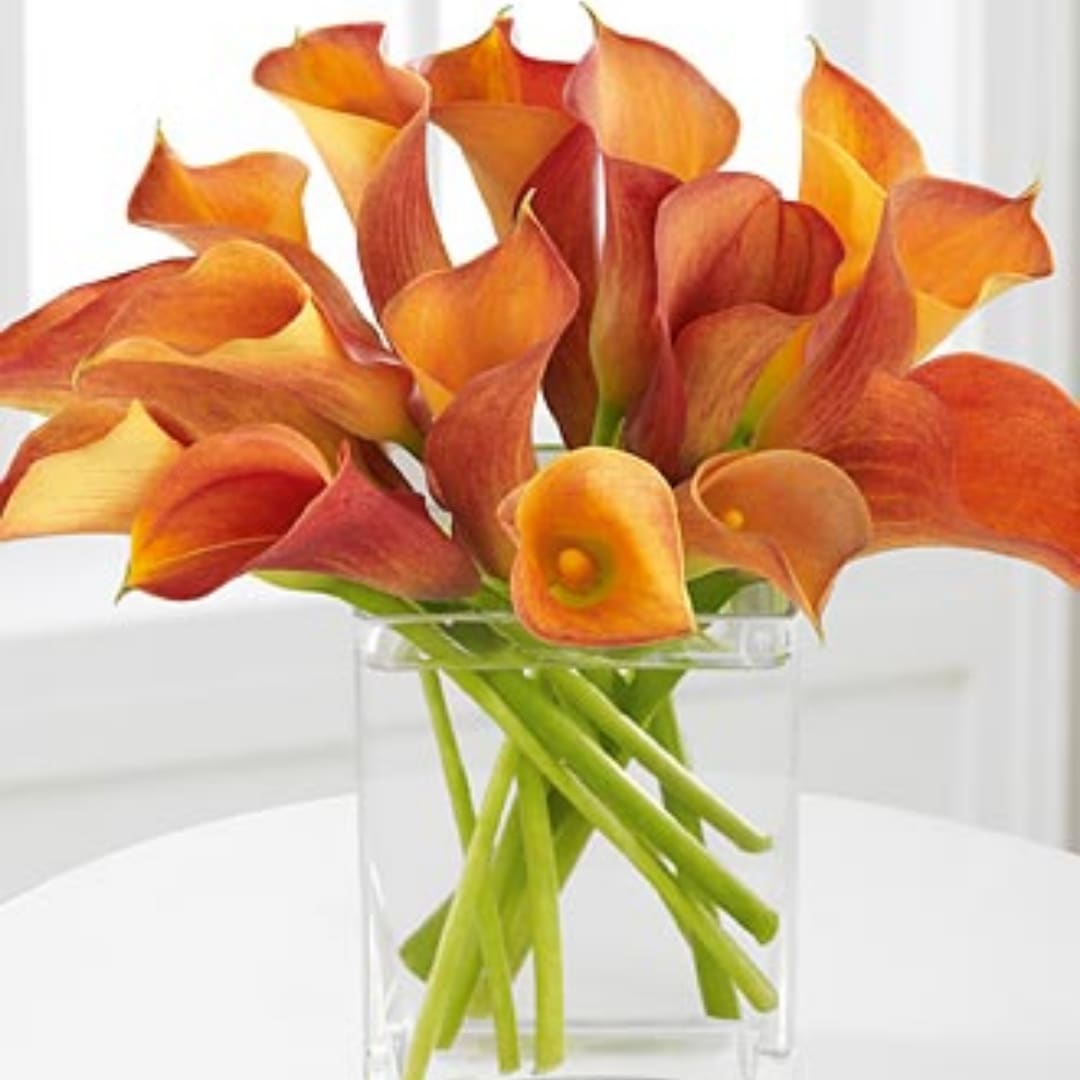 Orange calla lilies arranged in a clear glass vase