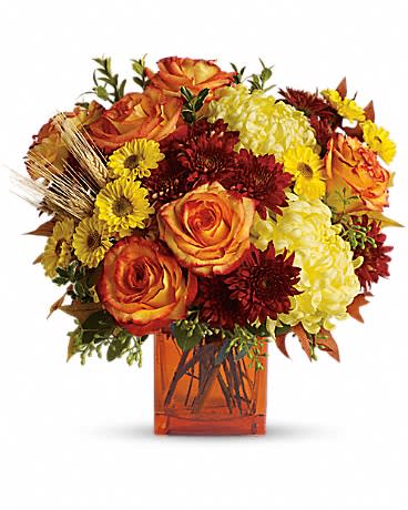 Expressions of Autumn - A burst of bright, vibrant hues in a chic tinted cube. A perfect way to gift the beauty of the season to someone special. 