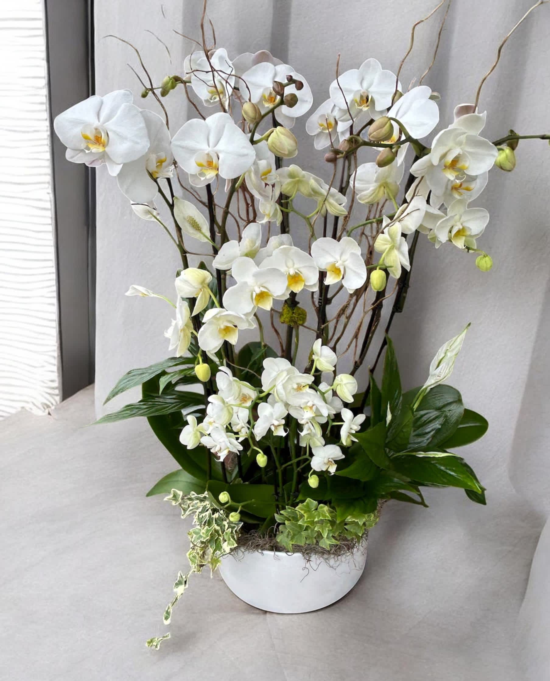 White orchid arrangement in a white bowl planter