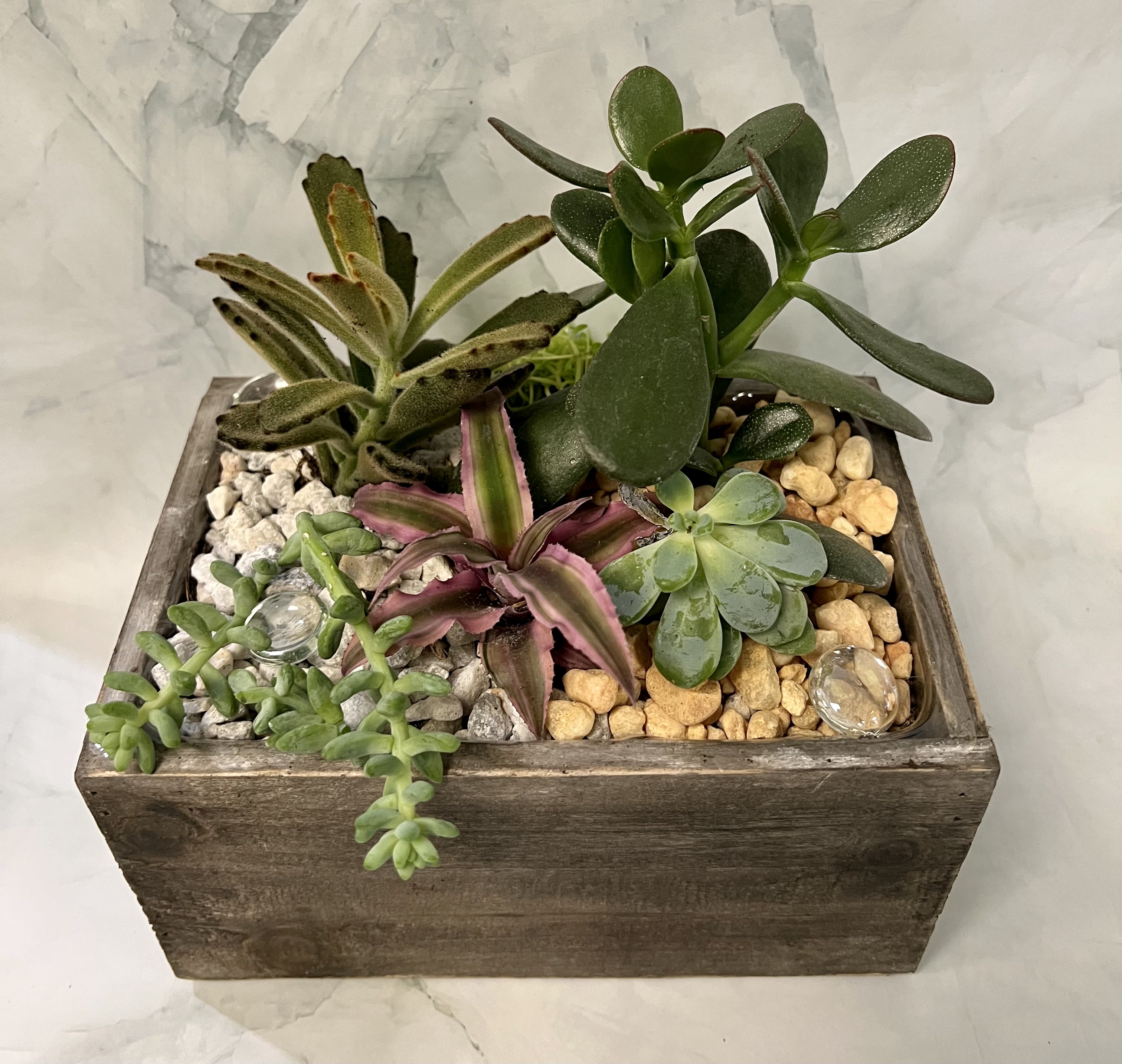 Succulent arrangement in a rustic wooden box with decorative stones