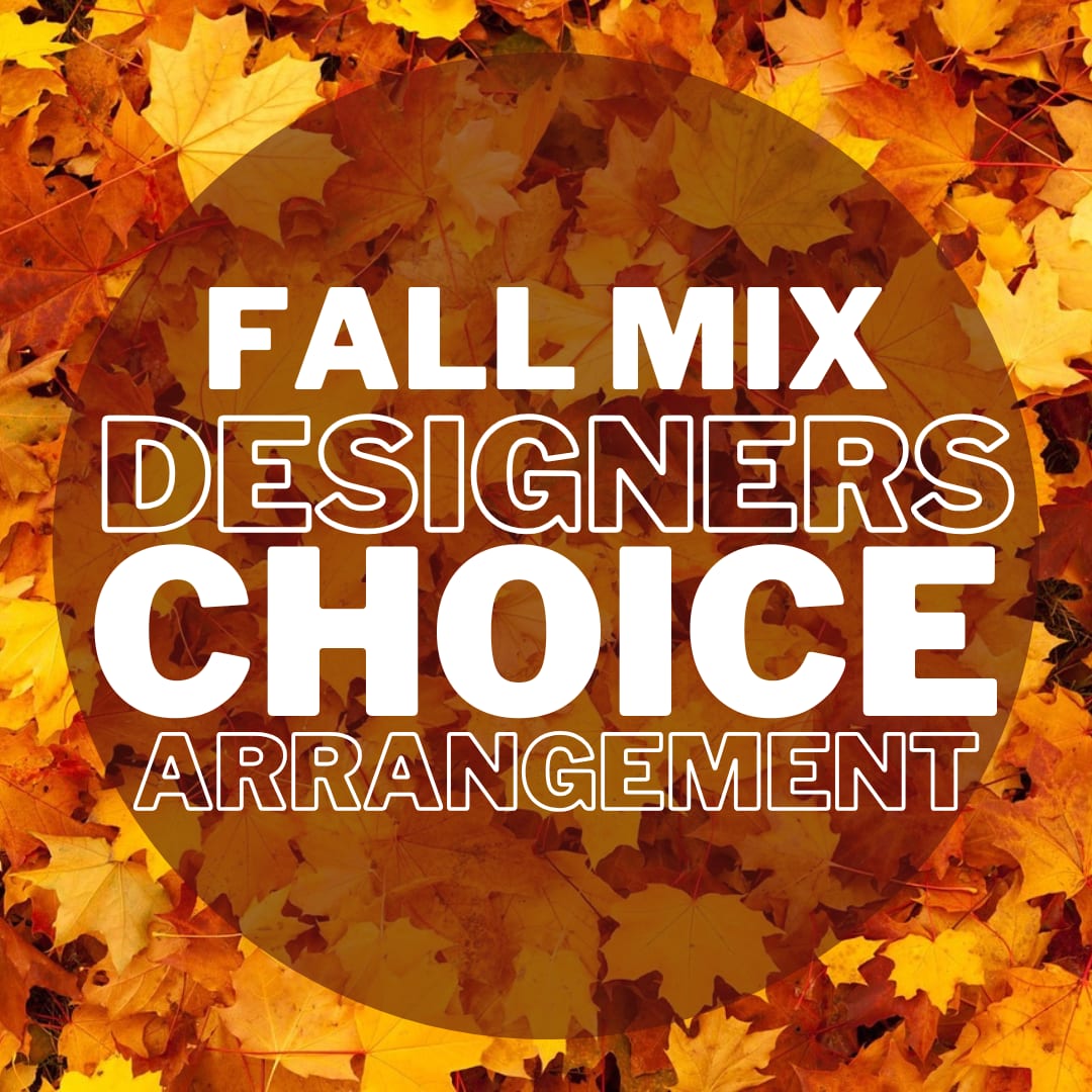Fall Mix - Seasonal Designers Choice Arrangement  - Leave the Work to Us! Let Our Designers Use Their Years of Experience to Make a Beautiful Arrangement for Your Loved One To Enjoy! 