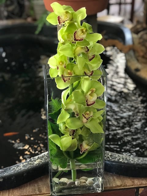 Green orchid stems arranged in a clear rectangular vase