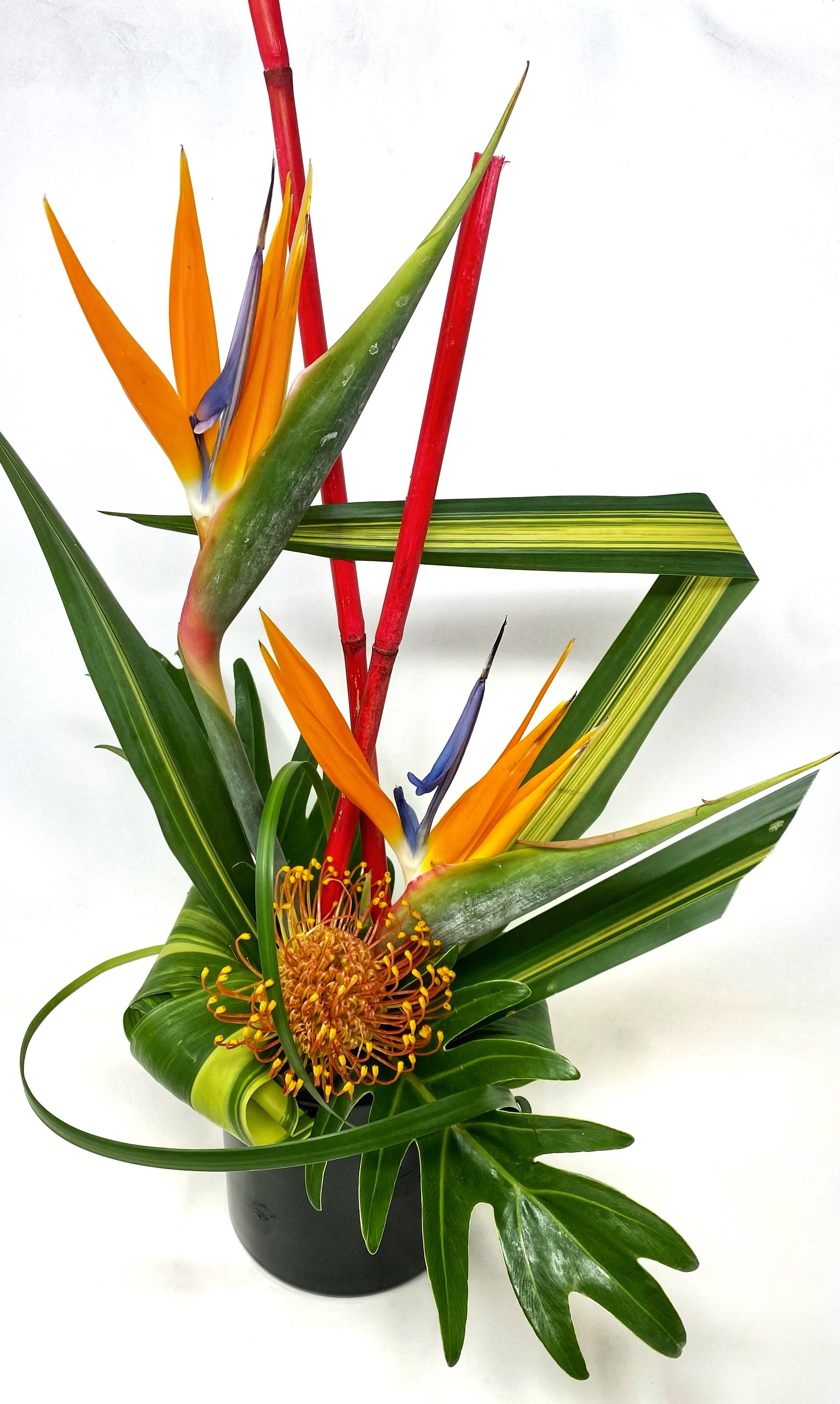 Tropical floral arrangement with bird of paradise in a black pot
