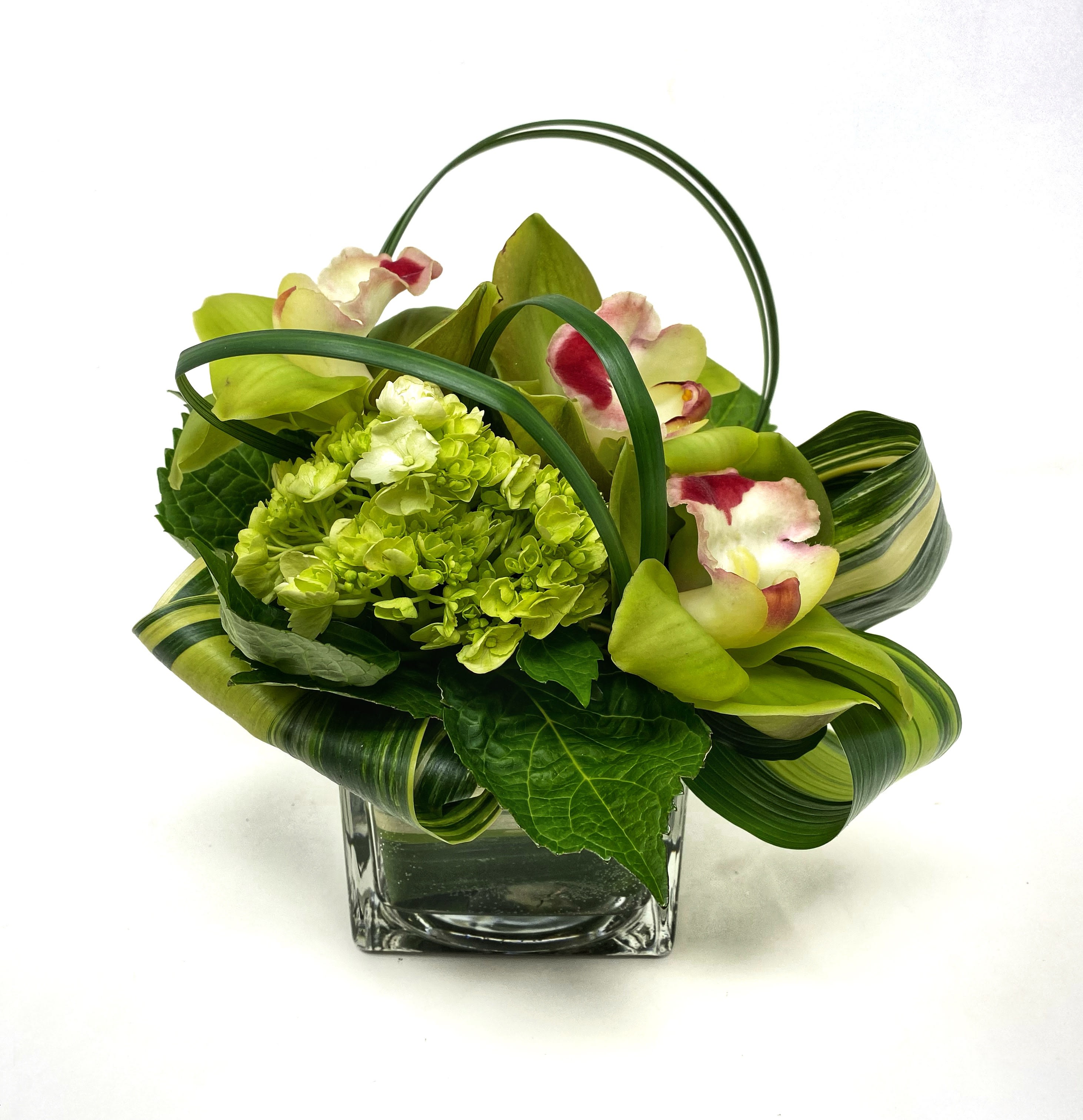 Go Green  - All green 4"x4" cube with beautiful cymbidium orchids