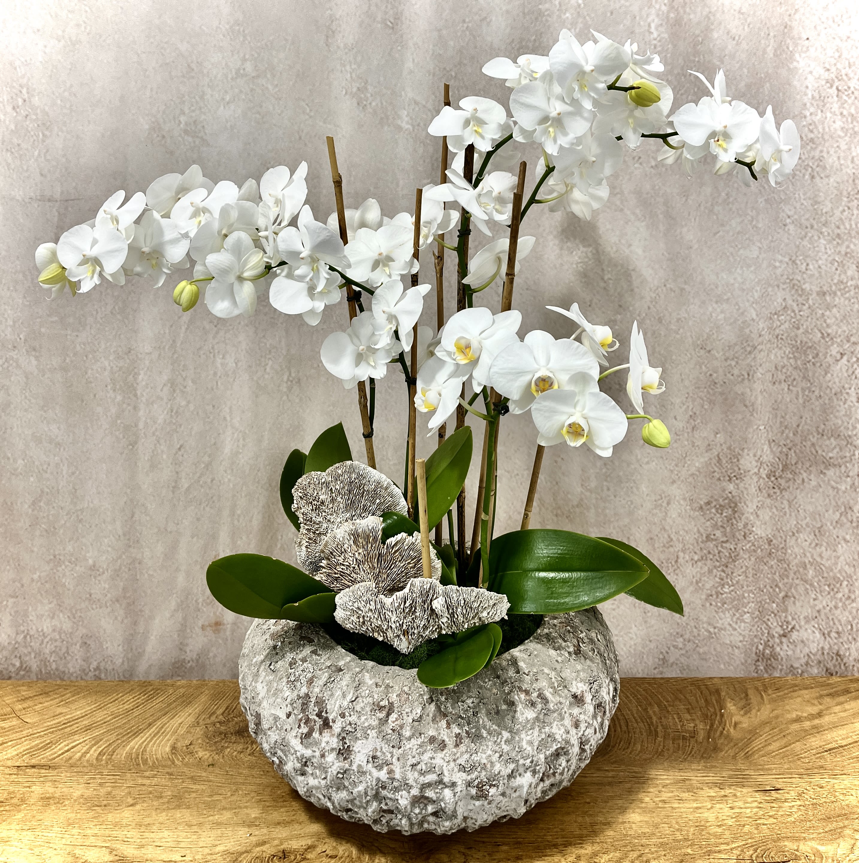 White orchid arrangement in a textured stone planter