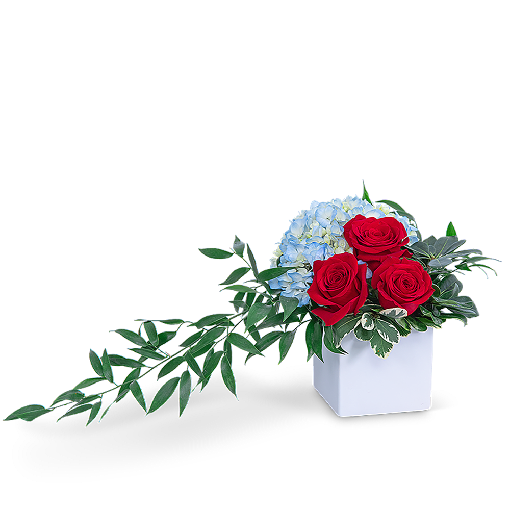 Red roses and blue hydrangeas in a white square vase