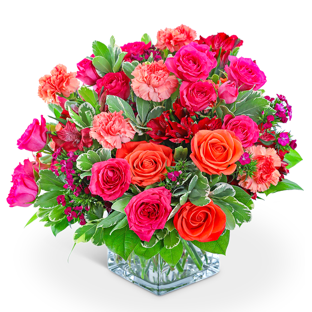 Blossoming Bellini - Our Blossoming Bellini mixed bouquet pairs fragrant Roses, Carnations, Dianthus, and Alstroemeria to create a colorful design that will make a big impact on someone’s day. Our bold, bright mix is sure to make a splash! It's the perfect choice for an anniversary or get-well gift. This colorful floral arrangement is ideal for sharing with family or friends and would look great on a table or kitchen island.
