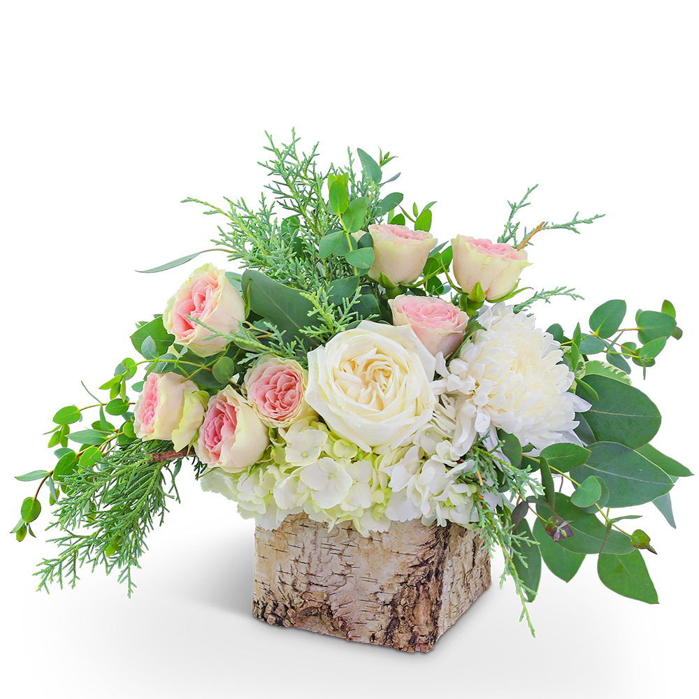 Pink and white roses in a birch bark container