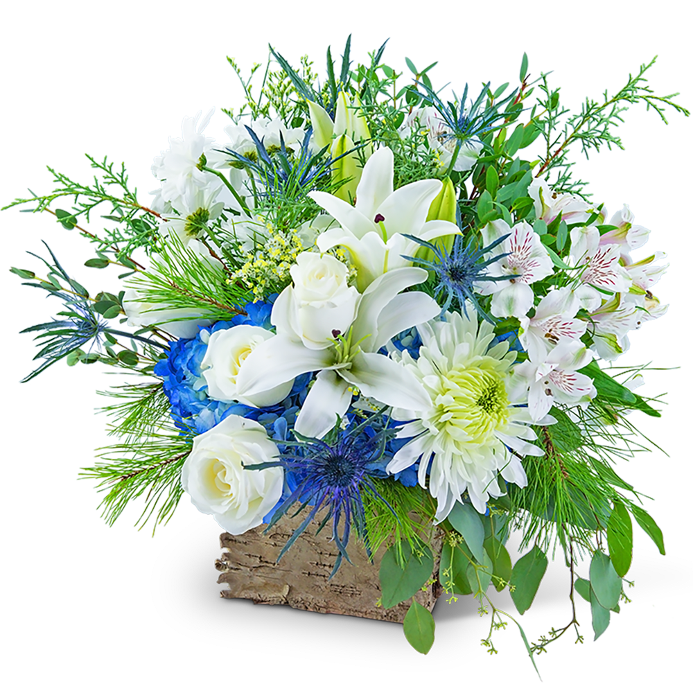Arctic Woodland - The crisp blues and whites of this arrangement will add a touch of tranquility to any room.  A charming wooden box holds roses, alstroemeria, hydrangeas, mums, Oriental lilies, eryngium, and limonium. Whether celebrating a birthday, anniversary, or any special occasion, Arctic Woodland is the perfect gift. 