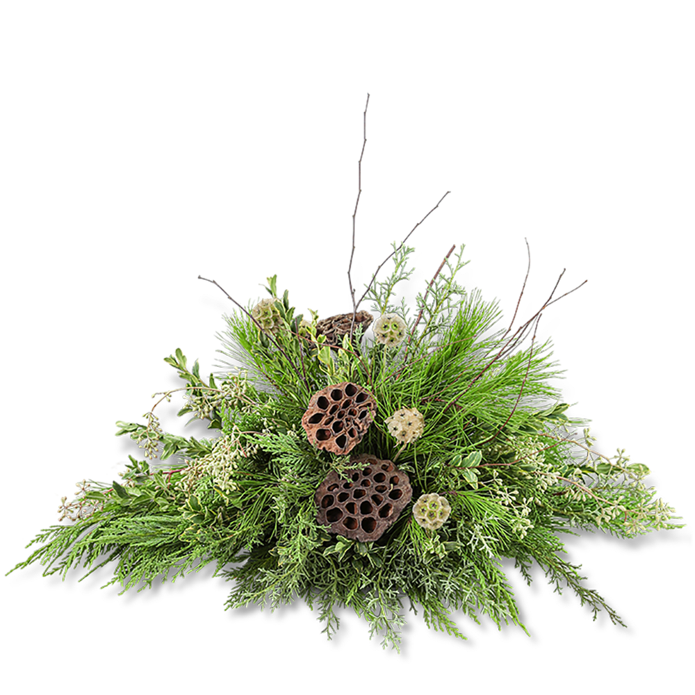 Green foliage arrangement with lotus pods on a black background