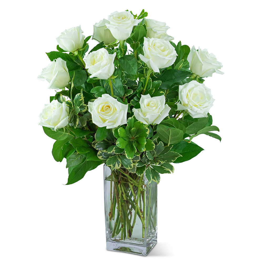 White Roses (12) - The subtle, simple beauty of a white rose makes it perfect for any occasion! This bouquet contains 12 white roses accented with lush, green foliage in a tall rectangular vase. White Roses will make a beautiful birthday or just because gift for that special someone. 