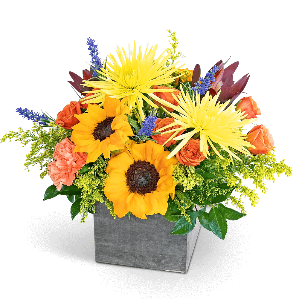 Bouquet of sunflowers and orange roses in a gray square vase