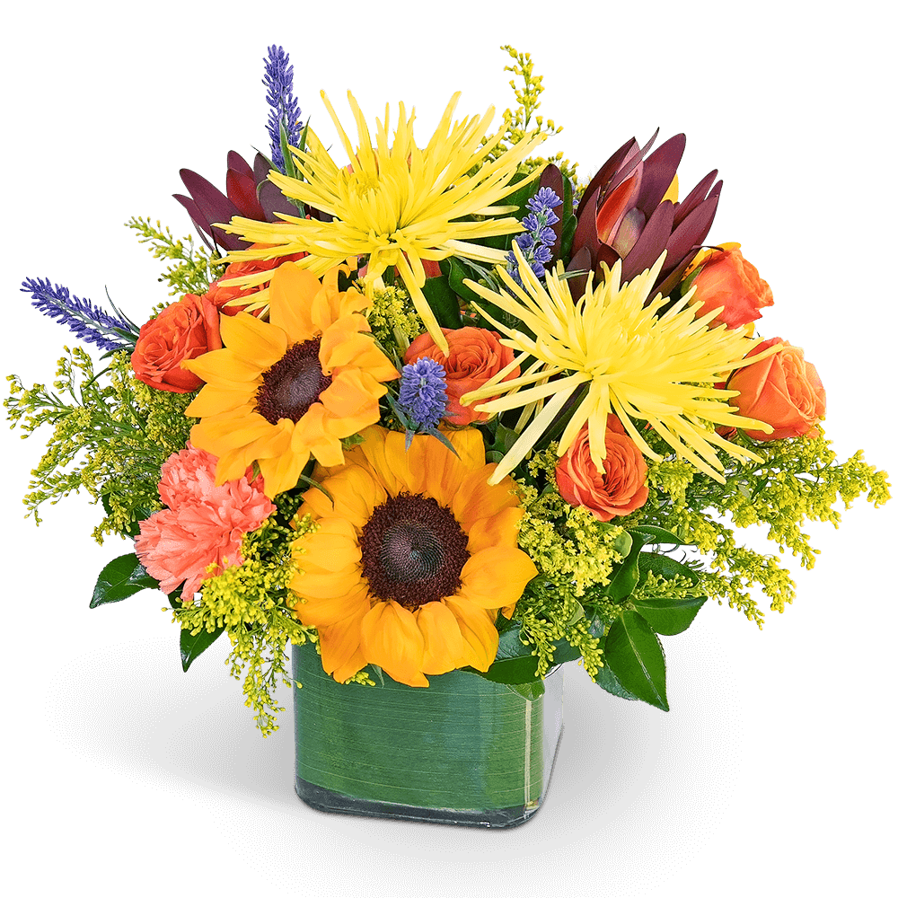 Sunflowers and orange roses in a square glass vase