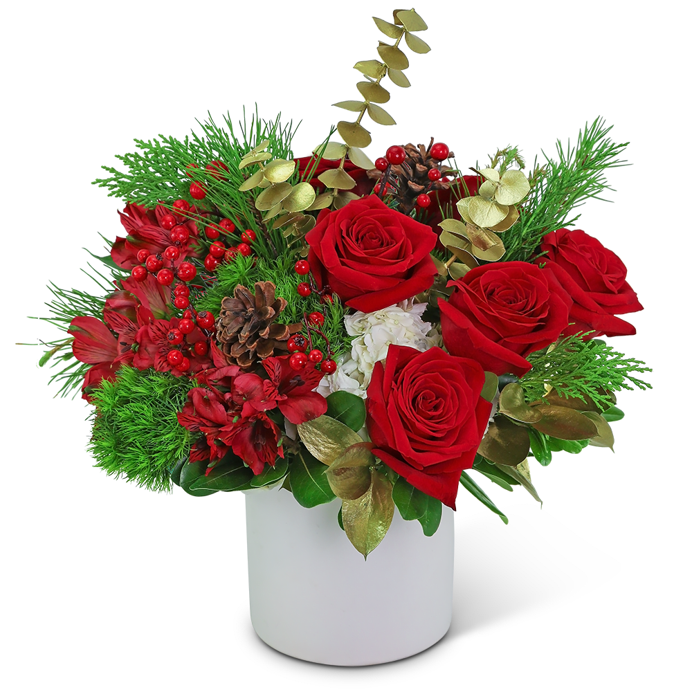 Red roses and berries in a white vase with pinecones and greenery