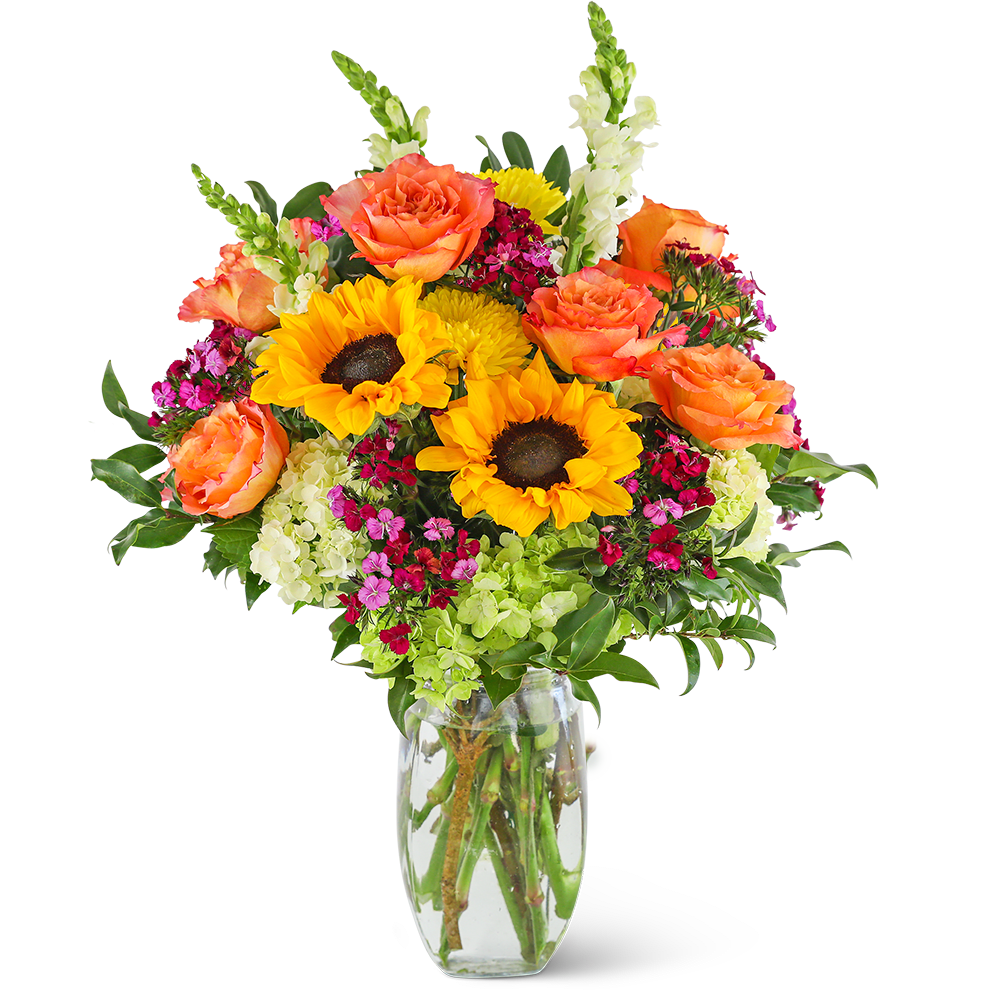 Stunning Seasonal Blooms - Celebrate the beauty of the season with our Stunning Seasonal Blooms. This floral design is sure to impress with vibrant Roses, Sunflowers, Hydrangeas, Snapdragons, and premium foliage, artfully arranged in a clear glass vase. Brighten up someone’s day with a colorful arrangement of mixed blooms and choose the best local florist in your area to care for them expertly. Nothing brightens up a room or home like flowers.
