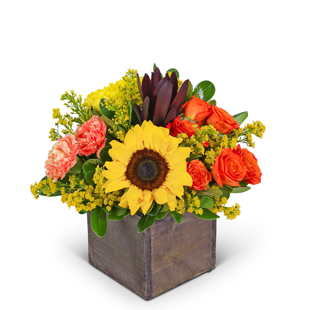 Sunflower and orange rose arrangement in a square wooden box