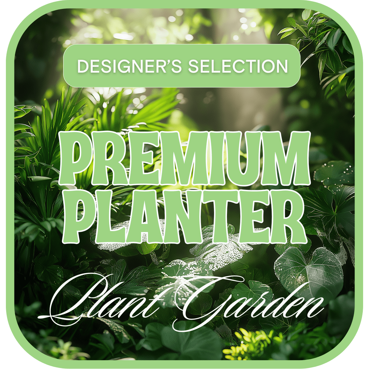 Green plant-themed graphic with the words "Premium Planter"