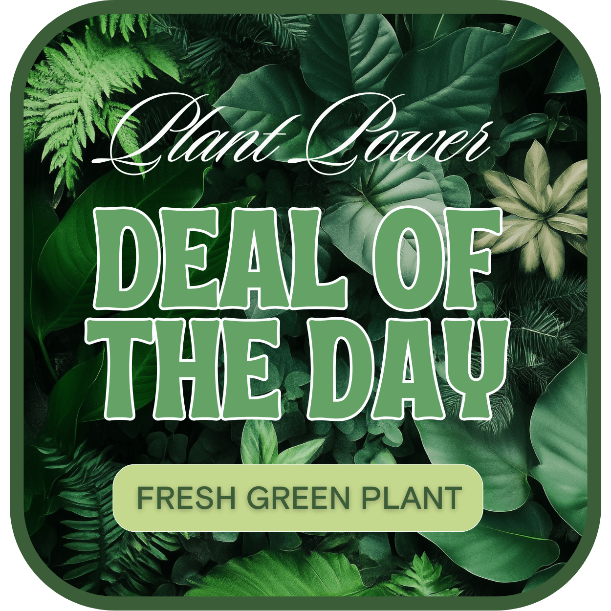 Green plant-themed sale graphic with large text and leafy background