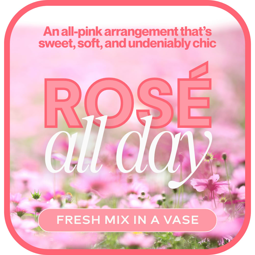 Pink floral arrangement graphic with the words "ROSE all day"