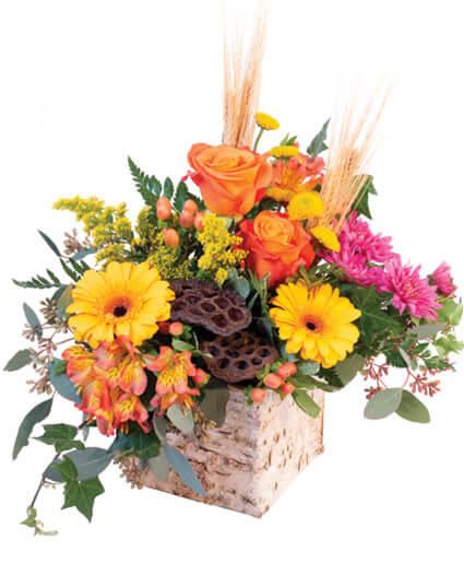 ENCHANTING HARVEST FLORAL ARRANGEMENT  - This petite arrangement packs a punch! Celebrate the season with orange roses, yellow gerberas, and other beautiful colors with our Enchanting Harvest arrangement! This bountiful design is filled with brightness and beauty that is sure to delight. 