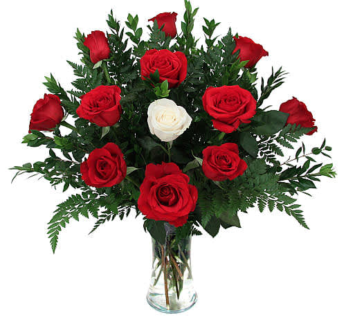 Special Love Arrangement  - Special Love. A special presentation of 11 red roses with a single added white or off-white rose. Show your special love this Valentine's with a gift of singular love.sophistication and elegance they deserve--and more. Give fresh romance and passion with this beautiful, hand-crafted arrangement of premium long-stem Red  roses.Standard: 12 Roses. Deluxe:18 Roses. Premium: 24 Rose