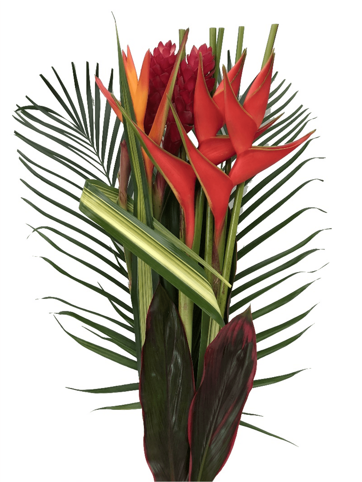Caribe - tropic mix
