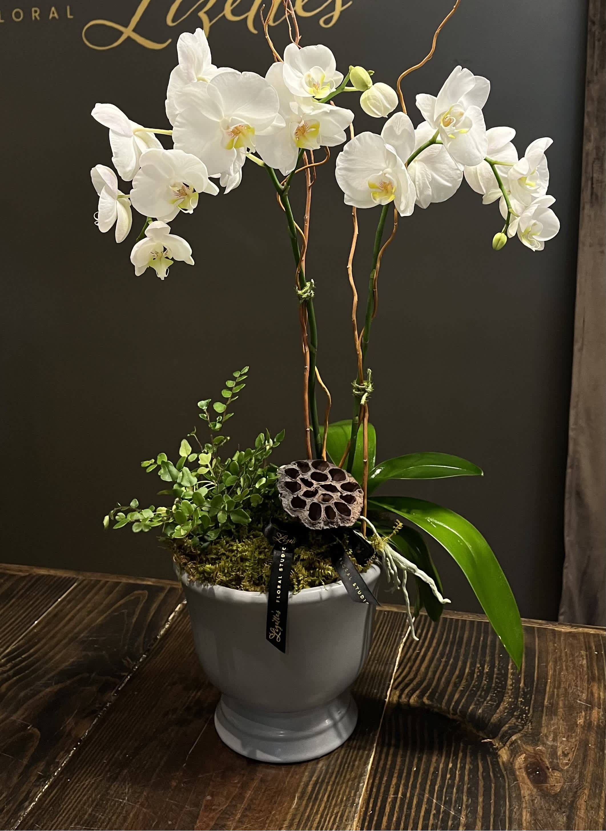 White orchid plant in a gray pot with moss and decorative accents