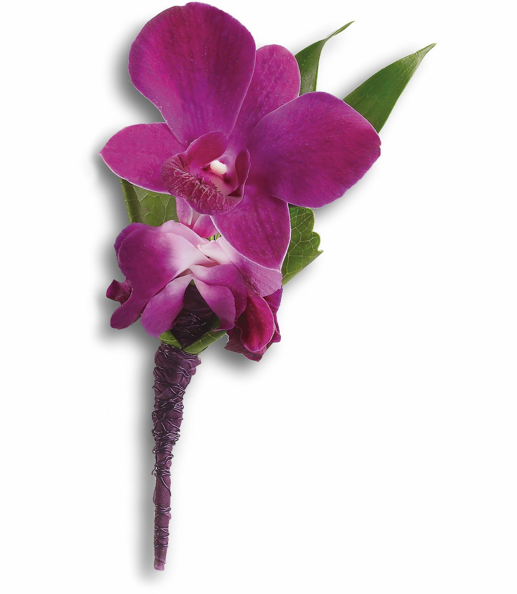 Purple orchid boutonniere with green leaves
