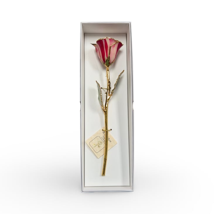 Preserved Peppermint 24KT Gold Rose - A real rose preserved to last and then trimmed with real 24kt gold and presented in a gift box. 