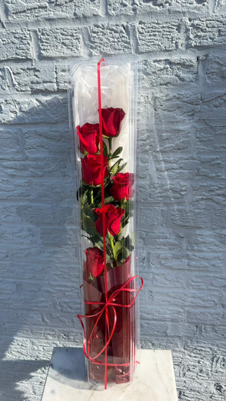 Tall clear box with red roses and a red ribbon