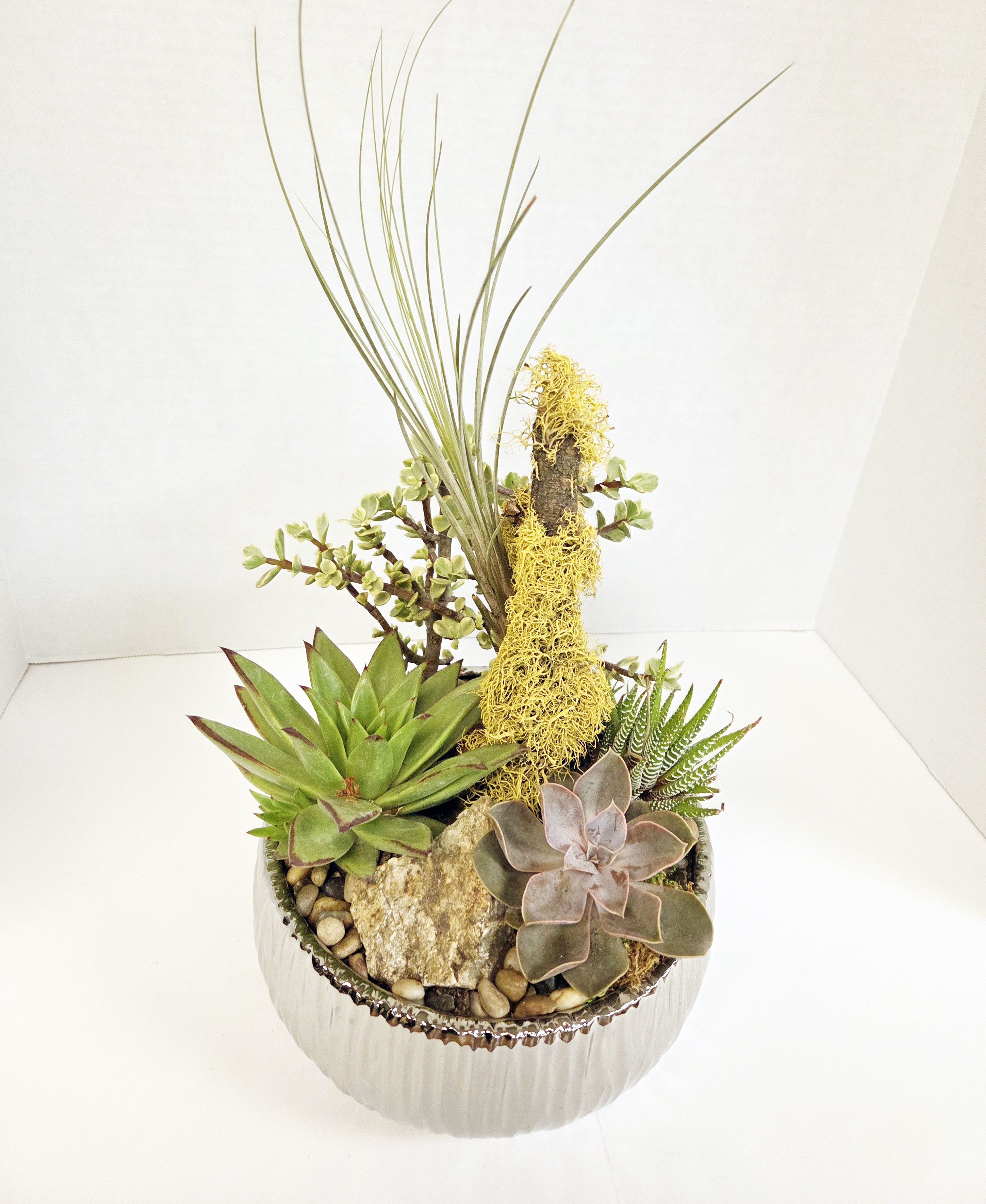 Succulent arrangement in a ribbed silver bowl with tall grass-like stems