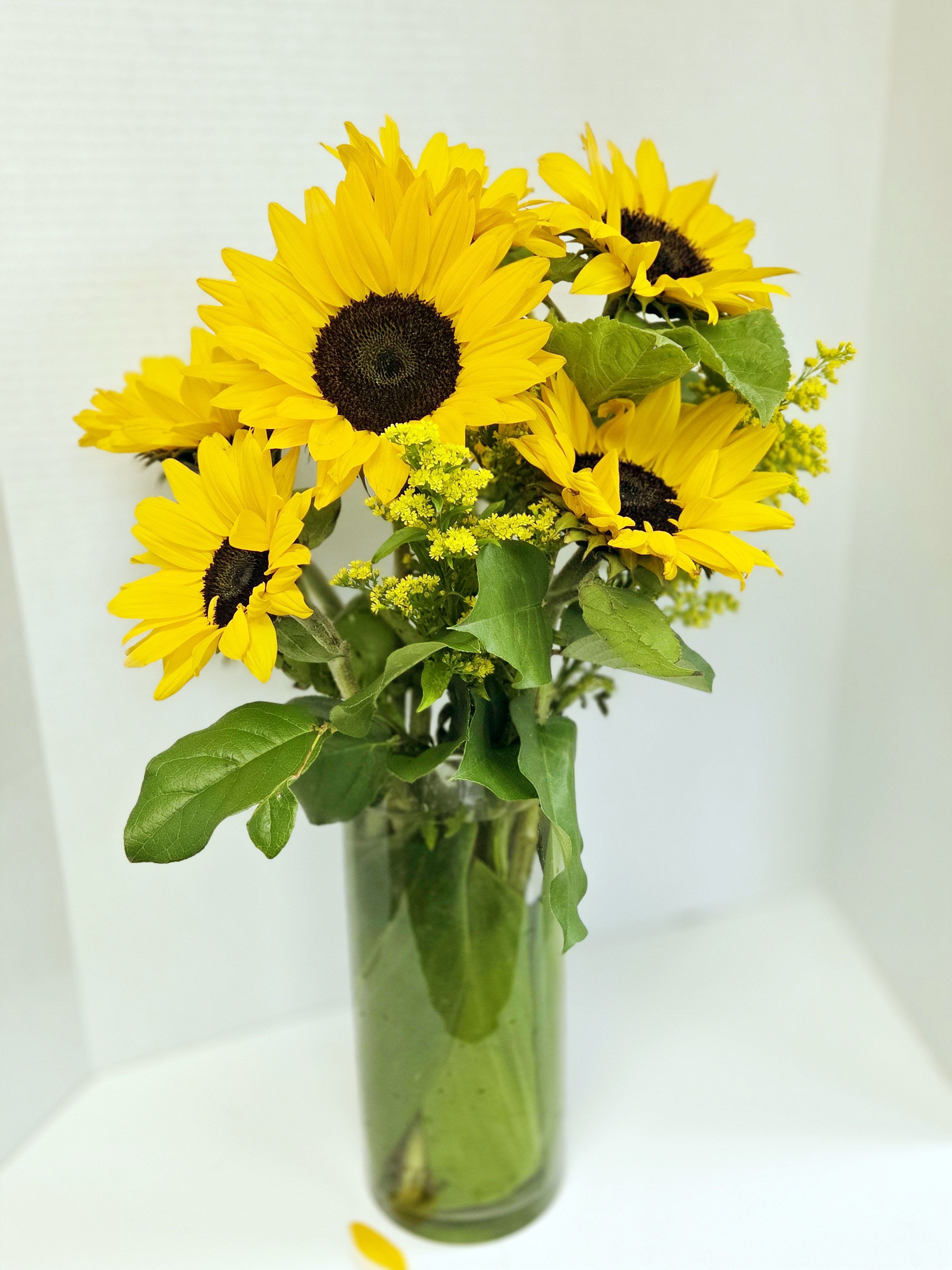 Bouquet of yellow sunflowers in a glass vase