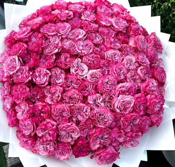 Pink heaven - 100 pink roses
